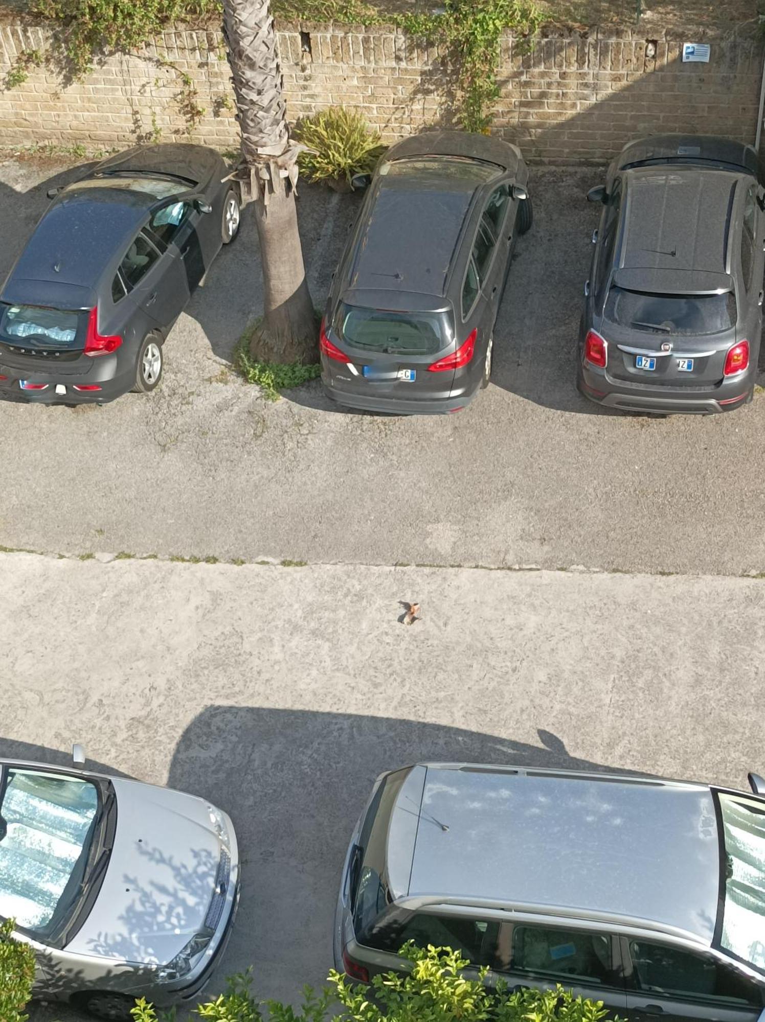 Villaggio Verde Cupra Cupra Marittima Exterior foto