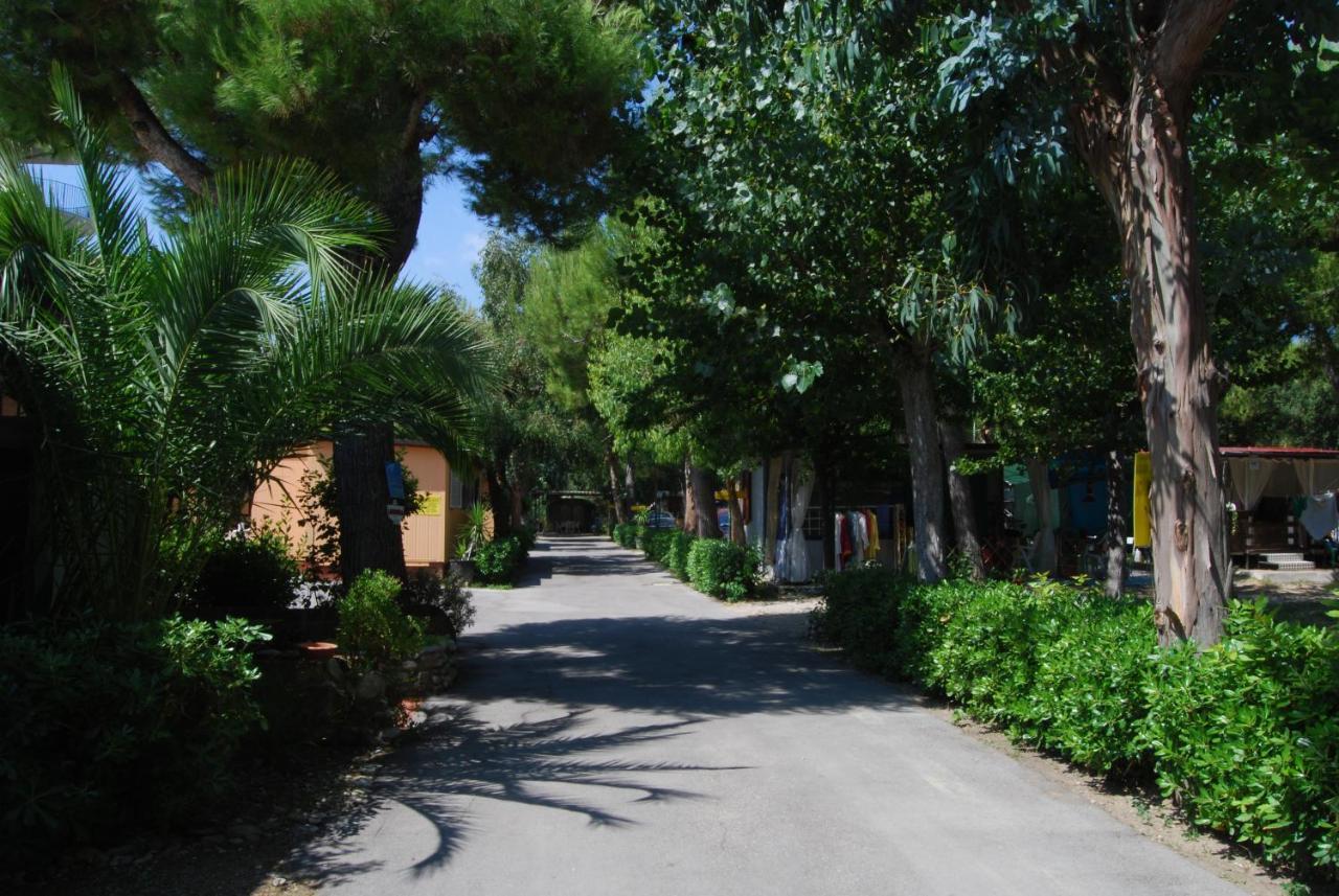 Villaggio Verde Cupra Cupra Marittima Exterior foto
